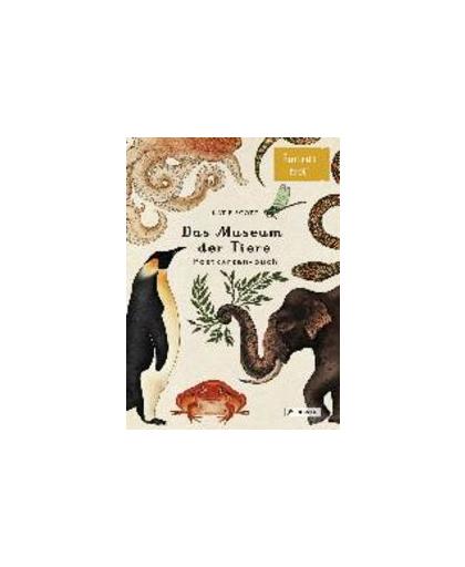 Das Museum der Tiere. Postkartenbuch. Eintritt frei!, Katie Scott, Paperback