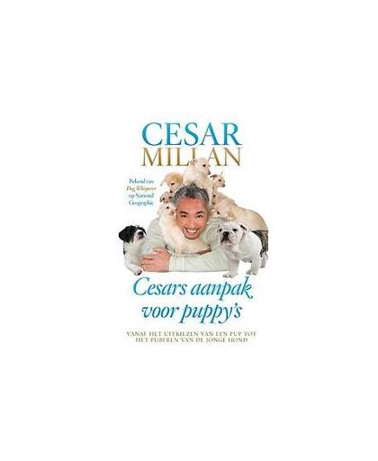 Cesars aanpak voor puppy's. Peltier, Melissa Jo, Paperback