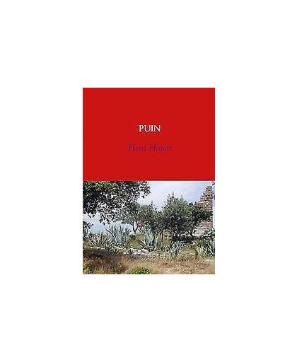Puin. een maatschappijkritisch avontuur, Hens Hauer, Paperback