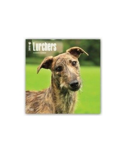 Lurchers - Lurcher 2018 - 18-Monatskalender. Original BrownTrout-Kalender - mit freier DogDays-App, Paperback