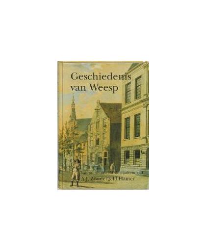 De geschiedenis van Weesp. van prehistorie tot de moderne tijd, Zondergeld-Hamer, A.J., Hardcover