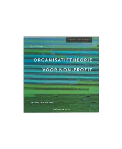 Organisatietheorie voor non-profit. Methodisch werken, Kapteyn, B., Paperback