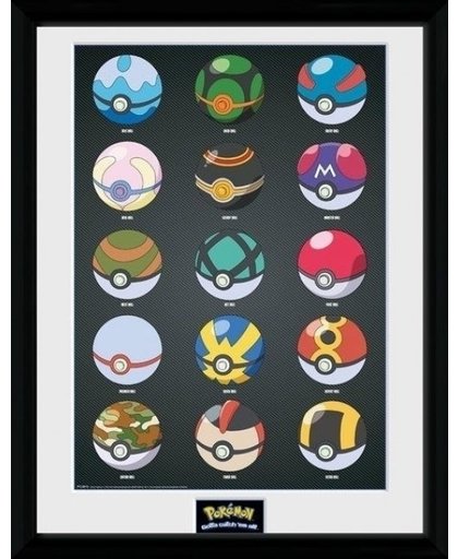 Pokemon Collector Print - Pokeballs