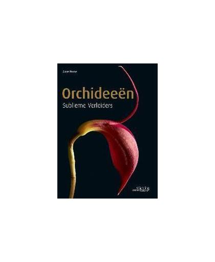 Orchideeen. Sublieme Verleiders, Ronse, Anne, Hardcover