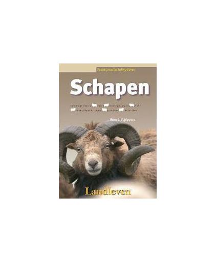 Schapen. Praktijkreeks hobbydieren, Schippers, Hans L., Paperback