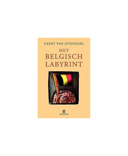 Het Belgisch labyrint. een wegwijzer (overschilderd natuurlijk), Van Istendael, Geert, Paperback