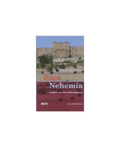 Ezra en Nehemia. leiders van de wederopbouw, J.E. de Groot, Paperback
