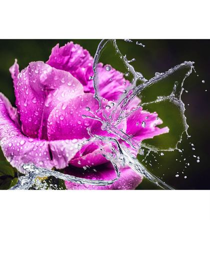 Roze roos met vlinder van water - Diamond Painting 25x30 (Volledige bedekking - Vierkante steentjes)