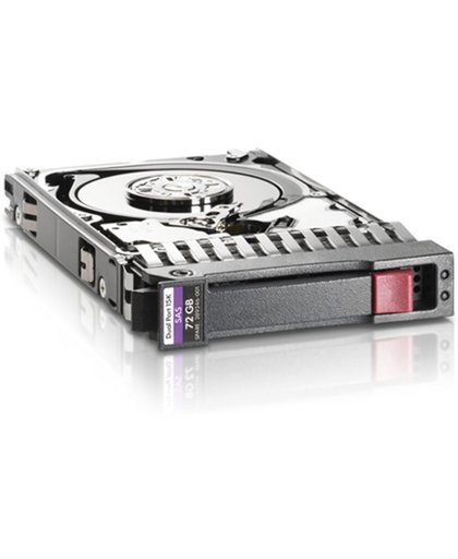 HP 759208-B21 - interne harde schijf - 300 GB