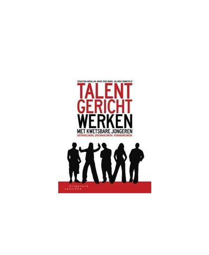 Talentgericht werken met kwetsbare jongeren. ontwikkelwerk, erkenningswerk, verbindingswerk, Sonneveld, Jolanda, Paperback