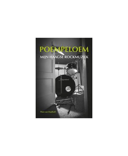 Poempeloem. Mijn Haagse rockmuziek, Theo van Daalhoff, Paperback