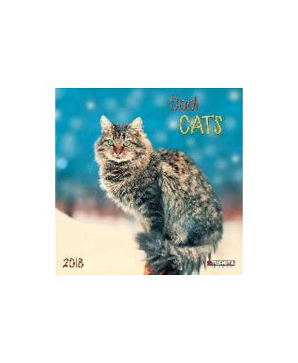 Cool Cats 2018. Kalender 2018, Paperback