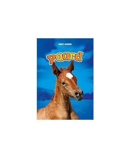 Paard. Olson, Bethany, Hardcover