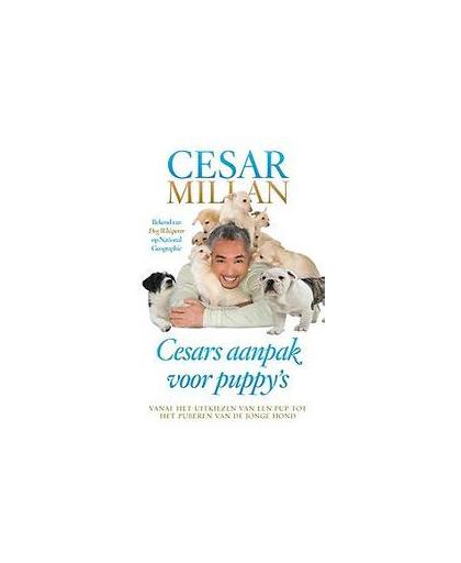 Cesars aanpak voor puppy's. aanpak voor puppy's, Peltier, Melissa Jo, Paperback