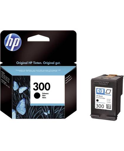 HP 300 originele zwarte inktcartridge