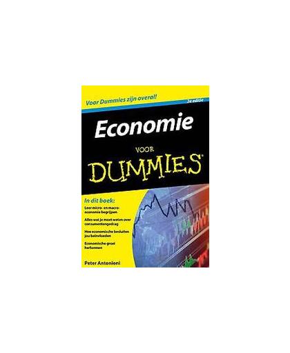 Economie voor Dummies. Voor Dummies, Sean Masaki Flynn, Paperback