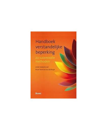 Handboek verstandelijke beperking. 24 succesvolle methoden, Twint, Brian, Paperback