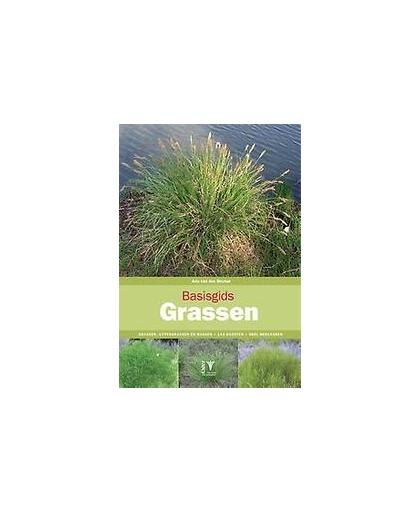 Basisgids Grassen. grassen, zeggen en russen - herkenning - 100 soorten, Van den Bremer, Arie, Paperback