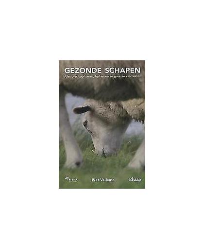 Gezonde schapen. alles over voorkomen, herkennen en genezen van ziektes, Vellema, Piet, Paperback