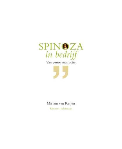 Spinoza in bedrijf. van passie naar actie, REIJEN, MIRIAM VAN, Paperback