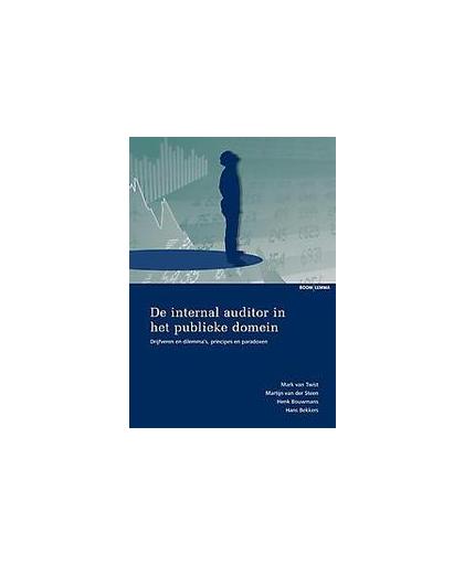 De internal auditor in het publieke domein. drijfveren en dilemma's, principes en paradoxen, Van der Steen, Martijn, Paperback