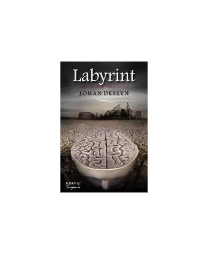 Labyrint. duistere thriller, Johan Deseyn, Hardcover