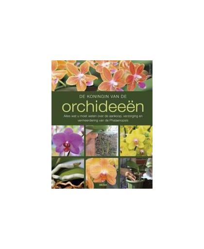 De koningin van de orchideeen. alles wat u moet weten over de aankoop, verzorging en vermeerdering van de Phalaenopsis, Pinske, Jörn, Hardcover