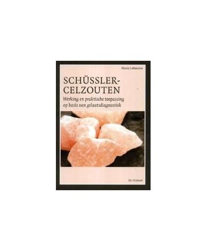 Schussler-celzouten. werking en praktische toepassing op basis van gelaatsdiagnostiek, Maria Lohmann, Paperback