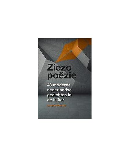 Ziezo poezie. 48 moderne Nederlandse gedichten in de kijker, Wierenga, Lambert, Paperback