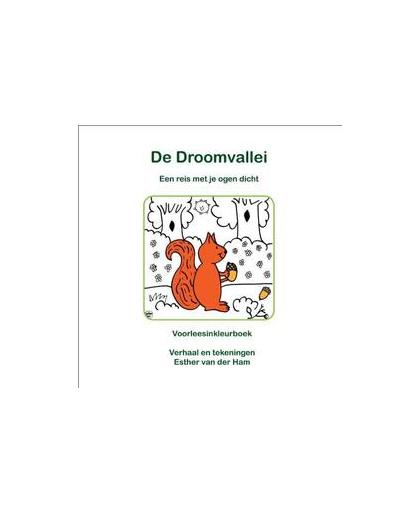 De Droomvallei. een reis met je ogen dicht, Van der Ham, Esther, Paperback