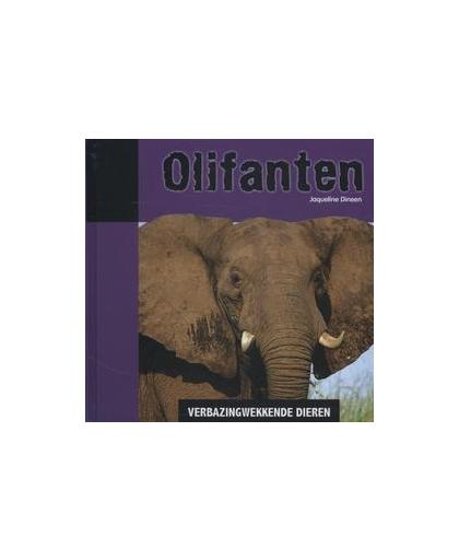 Olifanten. Verbazingwekkende dieren, Jacqueline Dineen, Hardcover