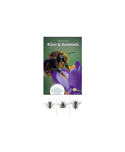 Minigids Bijen en Hommels. 67 bijen en hommels herkennen; de beste bijenplanten; tips voor een bijvriendelijke tuin, Maureen Kemperink, Paperback