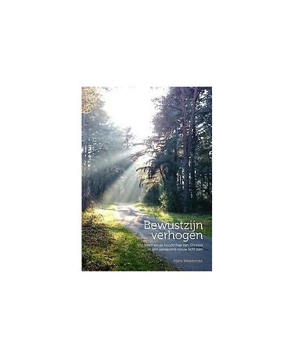 Bewustzijn verhogen. het leven en de boodschap van Christus in een verrassend nieuw licht zien, Wewerinke, Hans, Paperback