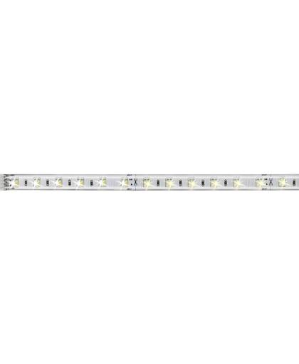 Paulmann LED-strip uitbreidingsset met stekker 24 V 50 cm Warm-wit, Neutraal wit, Daglicht-wit MaxLED Tunable White 70629