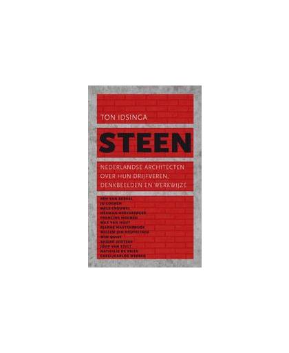 Steen. Nederlandse architecten over hun drijfveren, denkbeelden en werkwijze, Ton Idsinga, Paperback