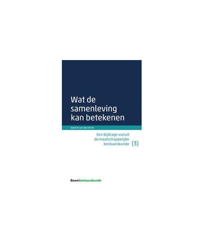 Wat de samenleving kan betekenen. een bijdrage vanuit de maatschappelijke bestuurskunde (3), Van den Brink, Gabriël, Paperback