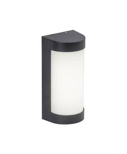 Buiten LED-wandlamp 6 W Neutraal wit Antraciet Brilliant Harper G96306/63