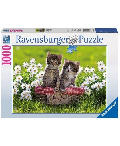 Ravensburger Puzzel: picknick in de wei 1000 stukjes