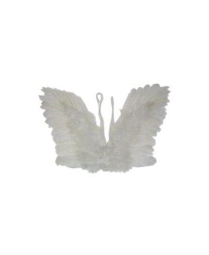 Engelen vleugels wit veren kind