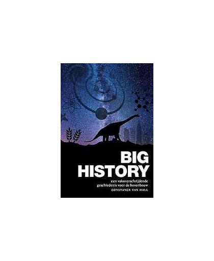 Big history. een vakoverschrijdende oriëntatie op de wetenschappen, Van Hall, Constance, Hardcover