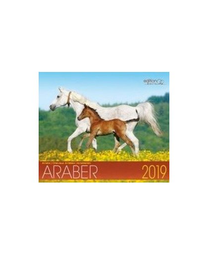Edle Araber 2019. Arabische Pferde, Gabriele Boiselle, Paperback