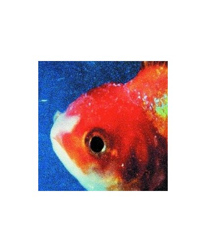 Vince Staples - Big Fish Theory, (LP Vinyl). LP