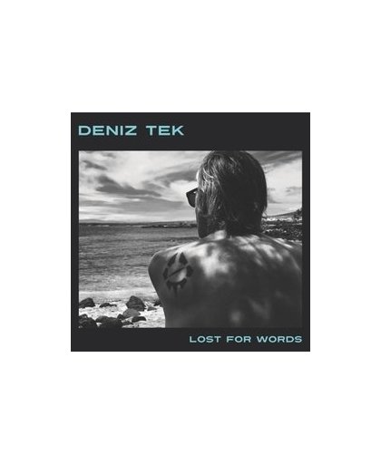 LOST FOR WORDS. DENIZ TEK, Vinyl LP