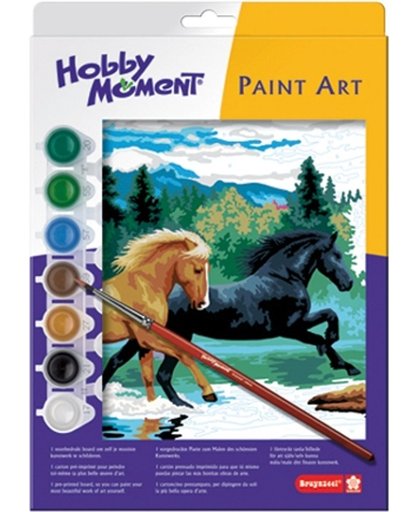 Paint Art Schilderen op nummer set Rennende paarden