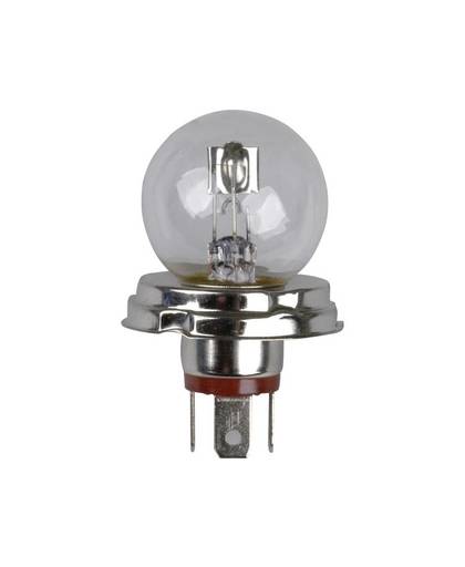 Unitec Halogeenlamp Standard R2 45/40 W