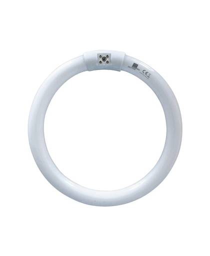 UV-ring Swissinno UVA 22W round TUBE_T6-22W Geschikt voor merk Swissinno UV-insectenvanger IV22 Ventilator 1 stuks