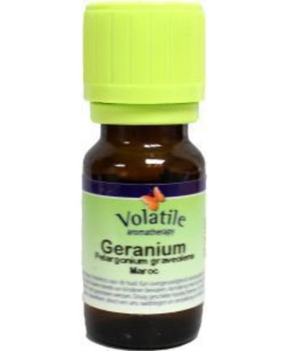 Volatile Geranium Maroc