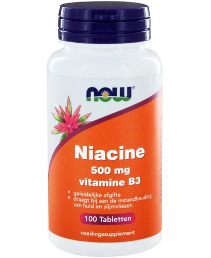 Now Niacine 500mg Time Released Tabletten