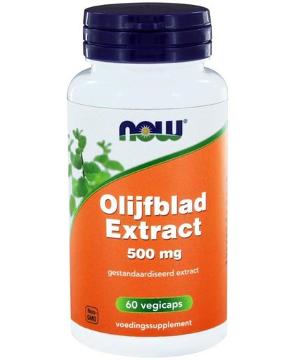 Now Olijfblad Extract 500mg