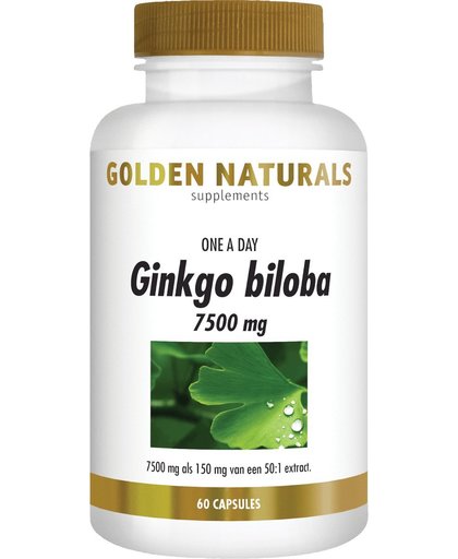 Golden Nutrition Geheugen Ginkgo / Lecithine Tabletten